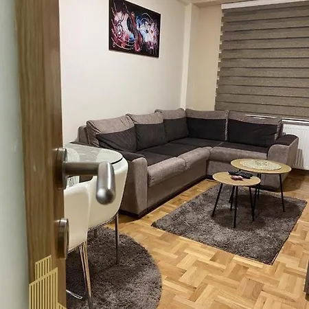 Apartment Mirkovic Lux Nis