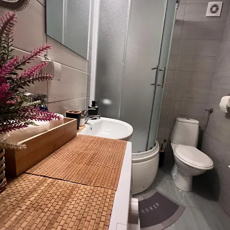 Apartment Mirkovic Lux