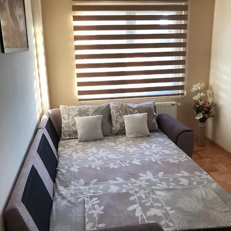 Apartment Mirkovic Lux